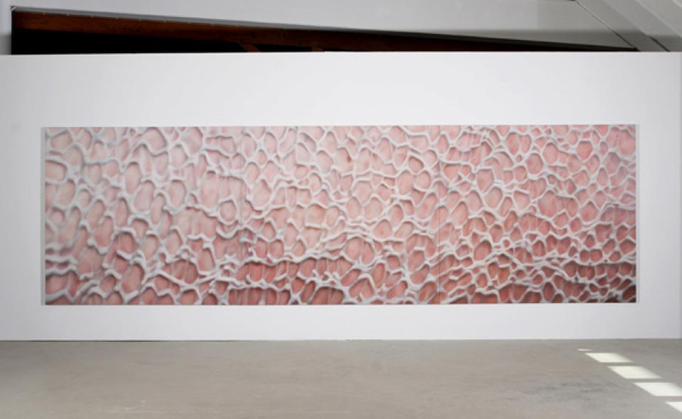 06 // Unter der Oberfläche # 03 // Ohne Titel (BA III), 2005,Öl und Acryl auf Leinwand, 3-teilig,190 x 630 cm
